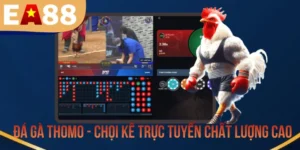 Đá Gà Thomo - Chọi Kê Trực Tuyến Chất Lượng Cao
